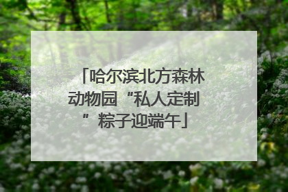 哈尔滨北方森林动物园“私人定制”粽子迎端午