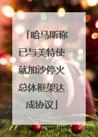 哈马斯称已与美特使就加沙停火总体框架达成协议
