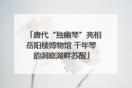 唐代“独幽琴”亮相岳阳楼博物馆 千年琴韵洞庭湖畔苏醒