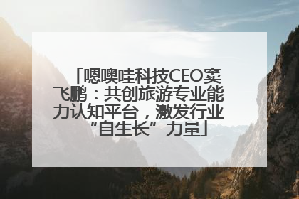 嗯噢哇科技CEO窦飞鹏：共创旅游专业能力认知平台，激发行业“自生长”力量