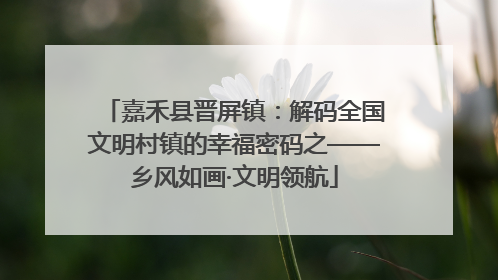 嘉禾县晋屏镇：解码全国文明村镇的幸福密码之——乡风如画·文明领航