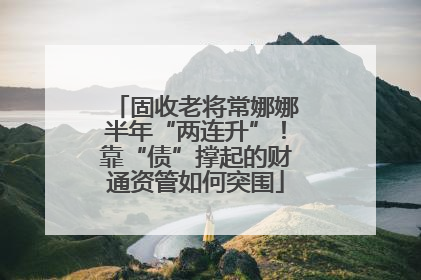 固收老将常娜娜半年“两连升”！靠“债”撑起的财通资管如何突围