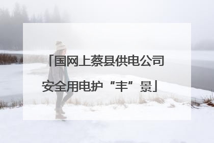国网上蔡县供电公司安全用电护“丰”景