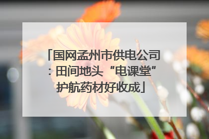国网孟州市供电公司：田间地头“电课堂”  护航药材好收成