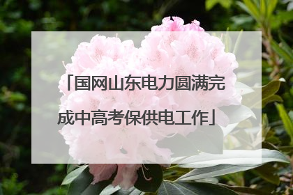 国网山东电力圆满完成中高考保供电工作