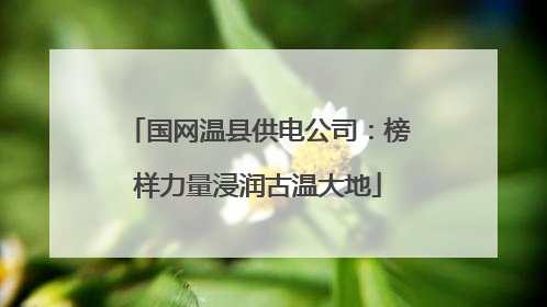 国网温县供电公司：榜样力量浸润古温大地