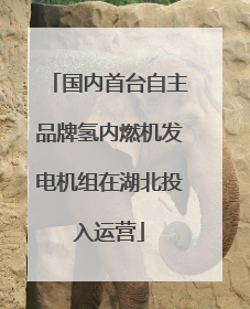 国内首台自主品牌氢内燃机发电机组在湖北投入运营