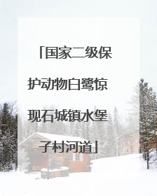 国家二级保护动物白鹭惊现石城镇水堡子村河道