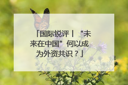 国际锐评丨“未来在中国”何以成为外资共识？