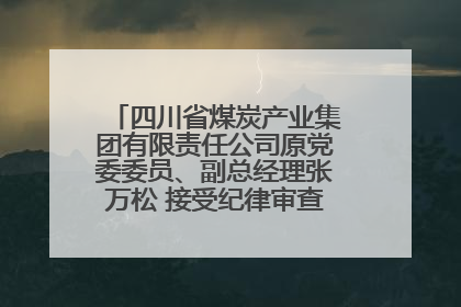 四川省煤炭产业集团有限责任公司原党委委员、副总经理张万松 接受纪律审查和监察调查