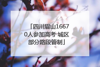 四川眉山16670人参加高考 城区部分路段管制