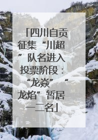 四川自贡征集“川超”队名进入投票阶段：“龙焱”“龙焰”暂居一二名