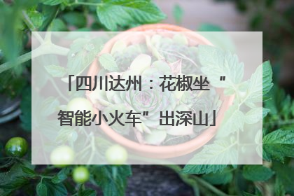 四川达州：花椒坐“智能小火车”出深山