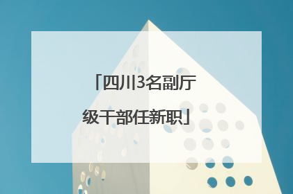 四川3名副厅级干部任新职