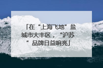 在“上海飞地”盐城市大丰区，“沪苏”品牌日益响亮