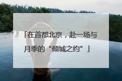 在首都北京，赴一场与月季的“倾城之约”