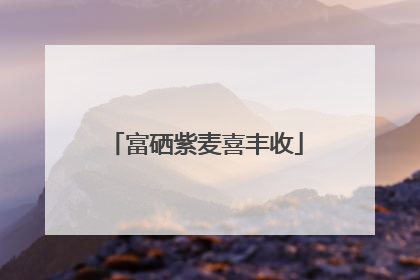 富硒紫麦喜丰收