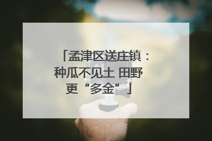 孟津区送庄镇：种瓜不见土 田野更“多金”