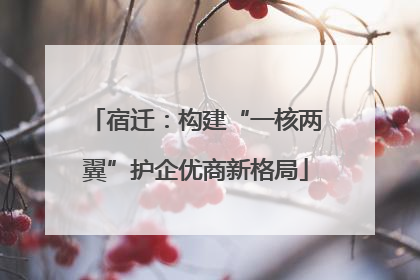 宿迁：构建“一核两翼”护企优商新格局
