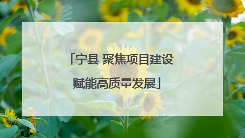 宁县 聚焦项目建设 赋能高质量发展