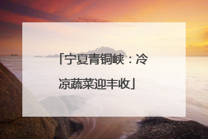 宁夏青铜峡：冷凉蔬菜迎丰收