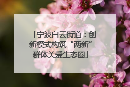 宁波白云街道：创新模式构筑“两新”群体关爱生态圈