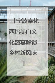 宁波奉化西坞茭白文化盛宴解锁乡村新风味