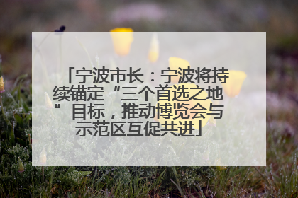 宁波市长：宁波将持续锚定“三个首选之地”目标，推动博览会与示范区互促共进