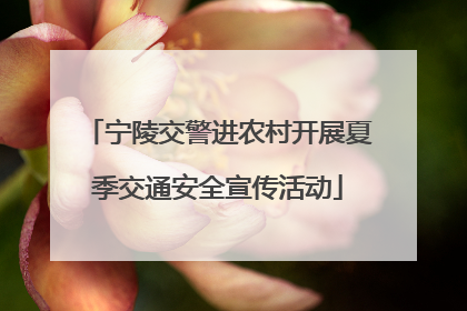 宁陵交警进农村开展夏季交通安全宣传活动
