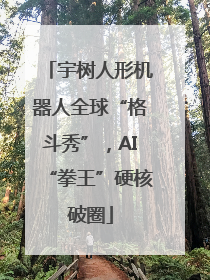 宇树人形机器人全球“格斗秀”，AI“拳王”硬核破圈