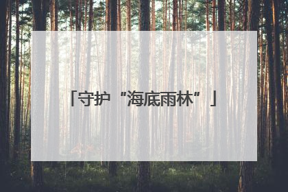 守护“海底雨林”
