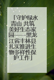 守护绿水青山 共筑美好生态家园——黑龙江省丰林县扎实推进生物多样性保护工作