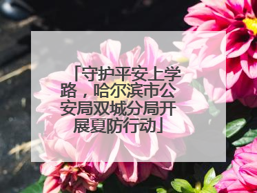 守护平安上学路，哈尔滨市公安局双城分局开展夏防行动