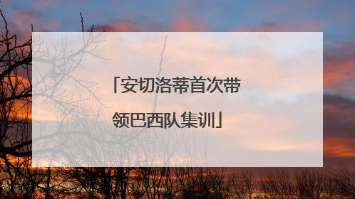 安切洛蒂首次带领巴西队集训