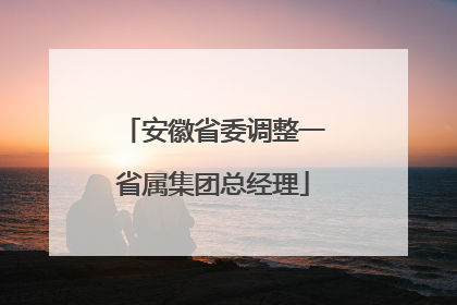 安徽省委调整一省属集团总经理