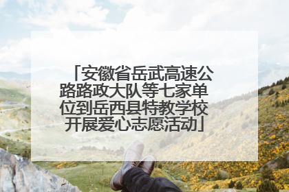 安徽省岳武高速公路路政大队等七家单位到岳西县特教学校开展爱心志愿活动