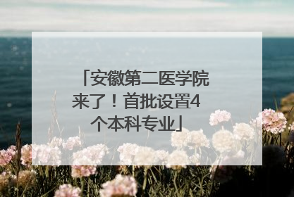 安徽第二医学院来了！首批设置4个本科专业