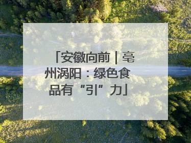 安徽向前｜亳州涡阳：绿色食品有“引”力