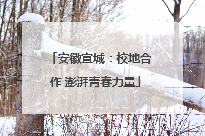 安徽宣城：校地合作 澎湃青春力量