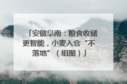 安徽阜南：粮食收储更智能，小麦入仓“不落地”（组图）