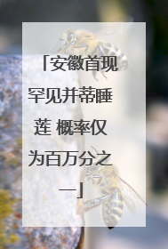 安徽首现罕见并蒂睡莲 概率仅为百万分之一