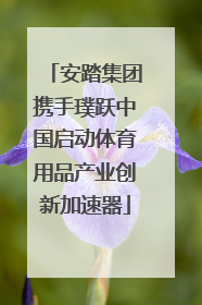 安踏集团携手璞跃中国启动体育用品产业创新加速器
