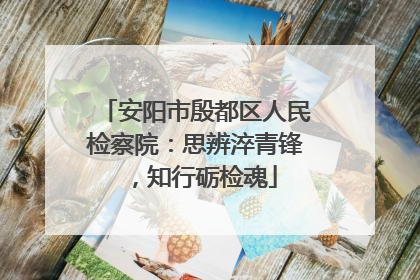 安阳市殷都区人民检察院：思辨淬青锋，知行砺检魂