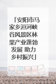 安阳市马家乡洹河峡谷风景区林果产业蓬勃发展 助力乡村振兴