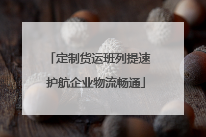 定制货运班列提速 护航企业物流畅通