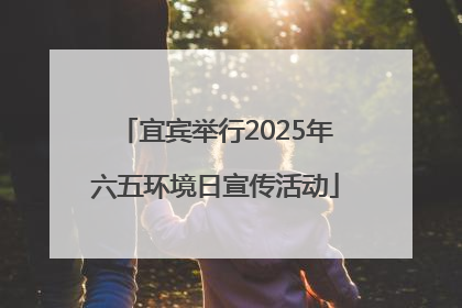 宜宾举行2025年六五环境日宣传活动