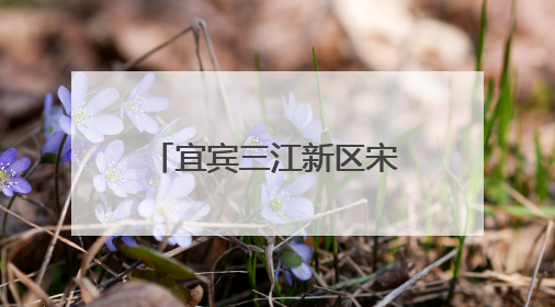 宜宾三江新区宋家中学举办第十七届校园文化艺术节暨2022级毕业季音乐节