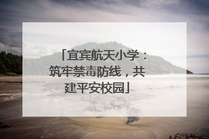 宜宾航天小学：筑牢禁毒防线，共建平安校园