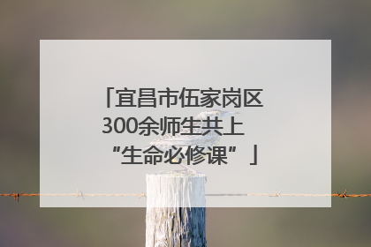 宜昌市伍家岗区300余师生共上“生命必修课”