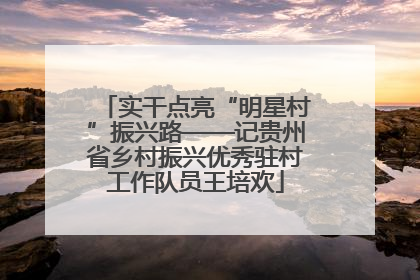 实干点亮“明星村”振兴路——记贵州省乡村振兴优秀驻村工作队员王培欢